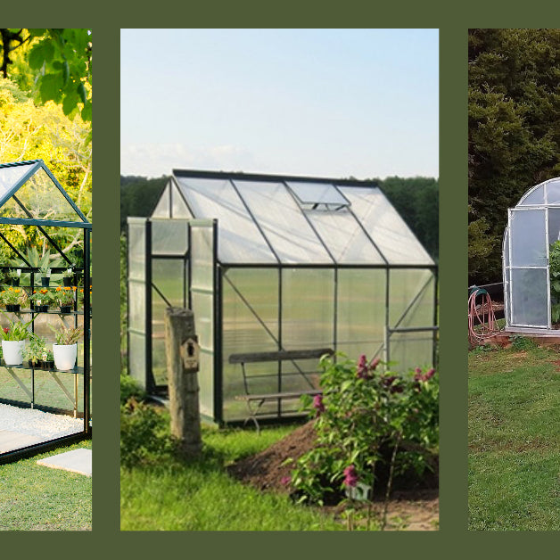 Three images, one glasshouse with green yard behind, one polycarbonate glasshouse with paddocks behind and one tunnel house with bush behind.