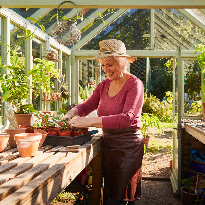 Benefits Of Having a Greenhouse In Your Urban Backyard