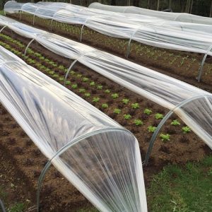 Home Gardener Cloche System
