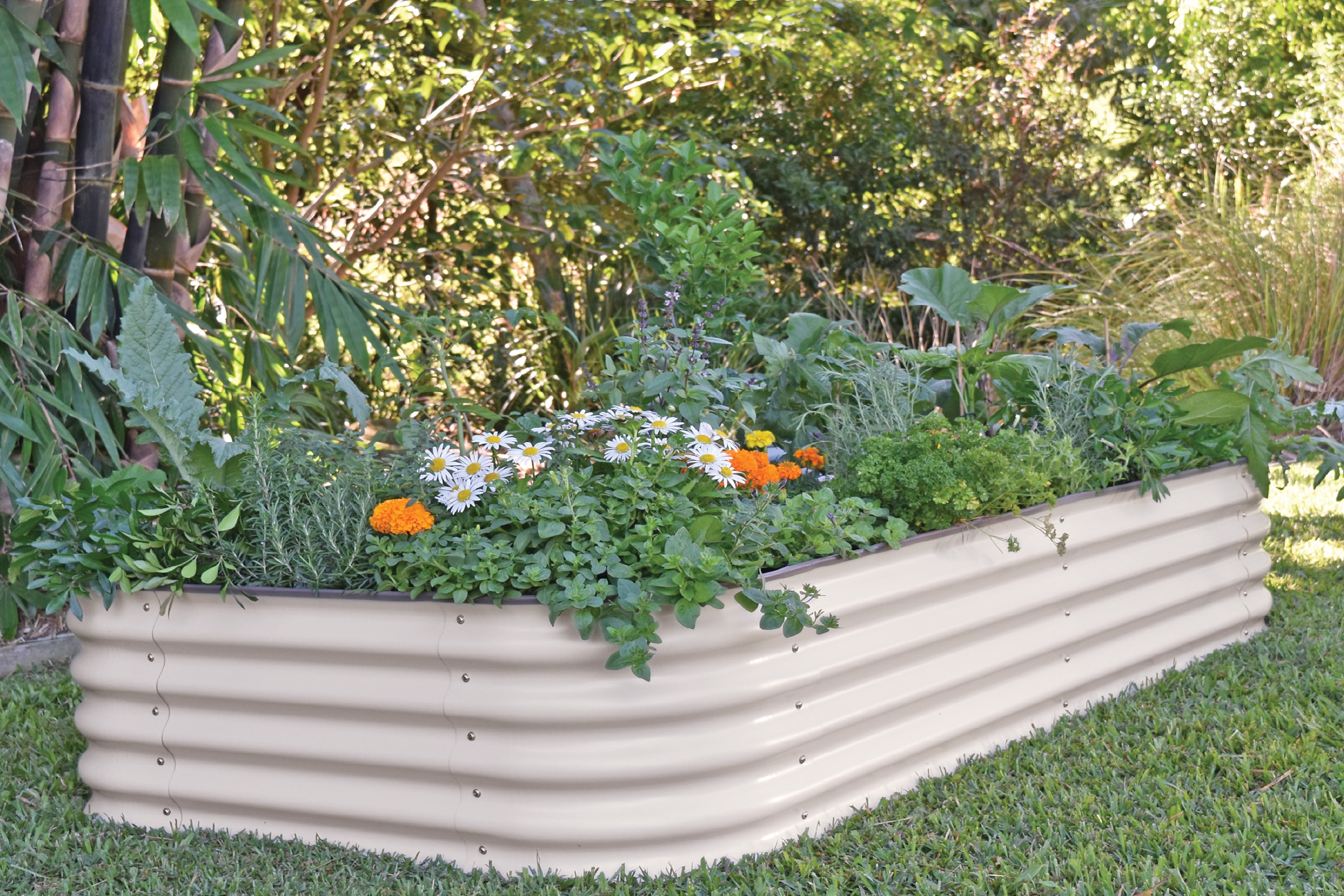 Small Short Metal Raised Garden Bed