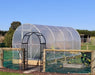 Duratough Tunnel House shown in gated vegetable garden with paddocks behind and clear blue sky.