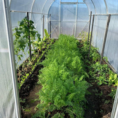 Duratough Tunnel House interior shown with plenty of vegetables growing along each side and in the middle.