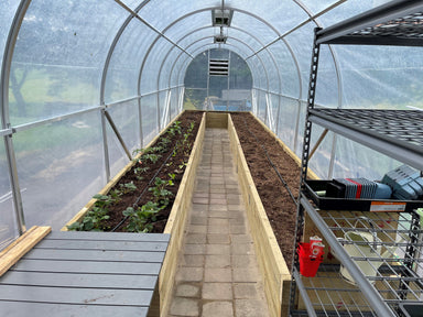 Duratough Tunnel House interior showing capacity of growing, with large garden beds running down each side freshly planted with strawberries and shelving in foreground.