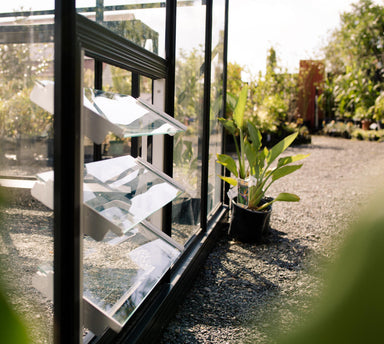 Three panelled louvre glass vent in open position at ground level with two plants in pots nearby.