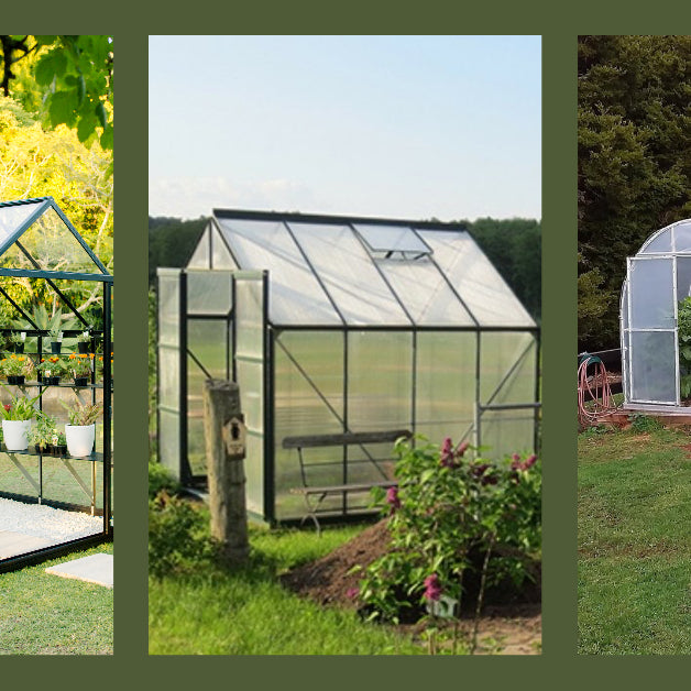 Three images, one glasshouse with green yard behind, one polycarbonate glasshouse with paddocks behind and one tunnel house with bush behind. 