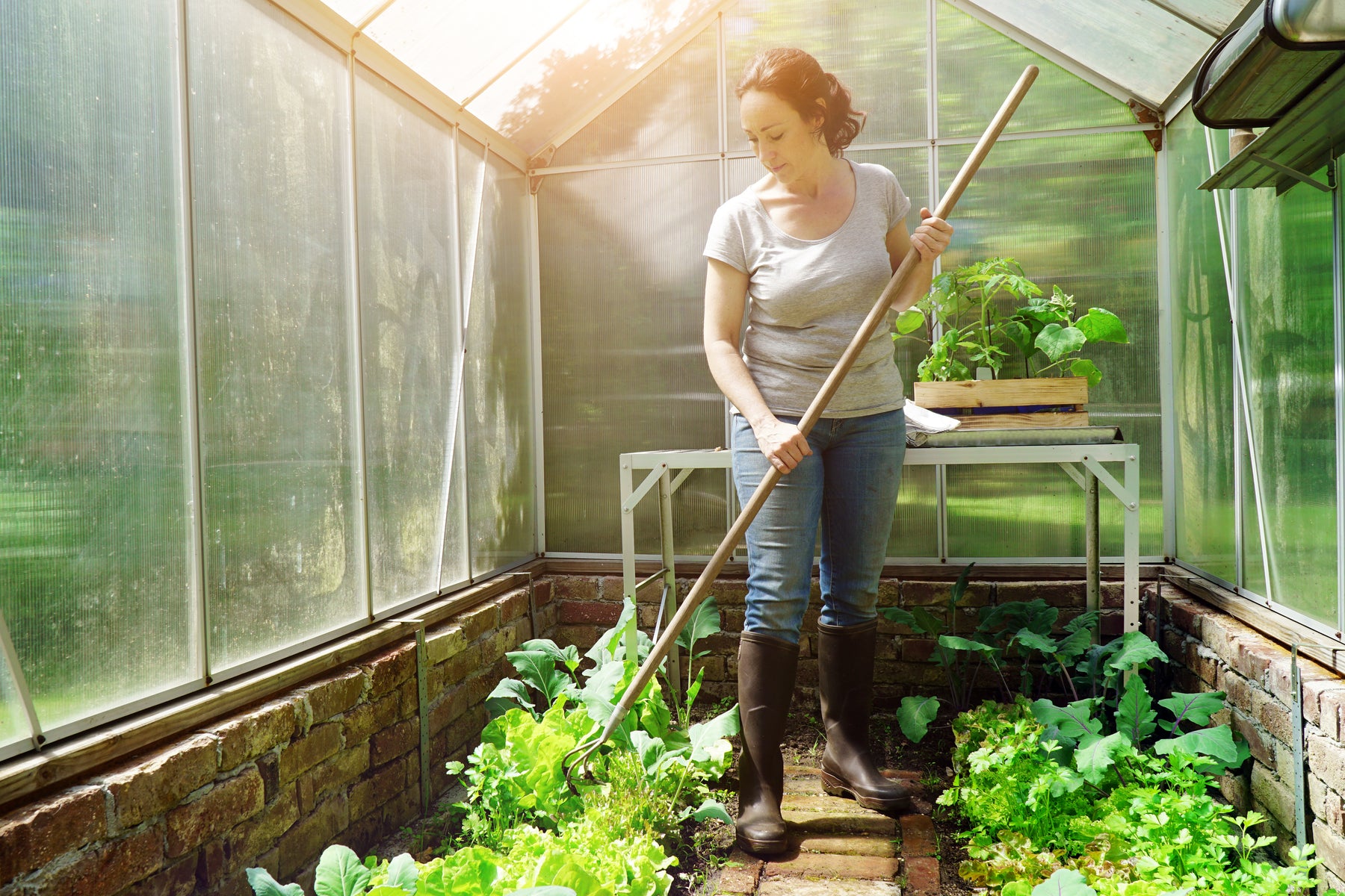 Greenhouse Maintenance: Ensuring Success in Your Home Greenhouse