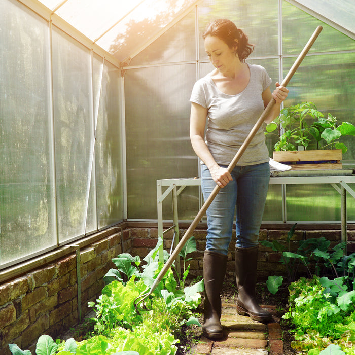 Greenhouse Maintenance: Ensuring Success in Your Home Greenhouse
