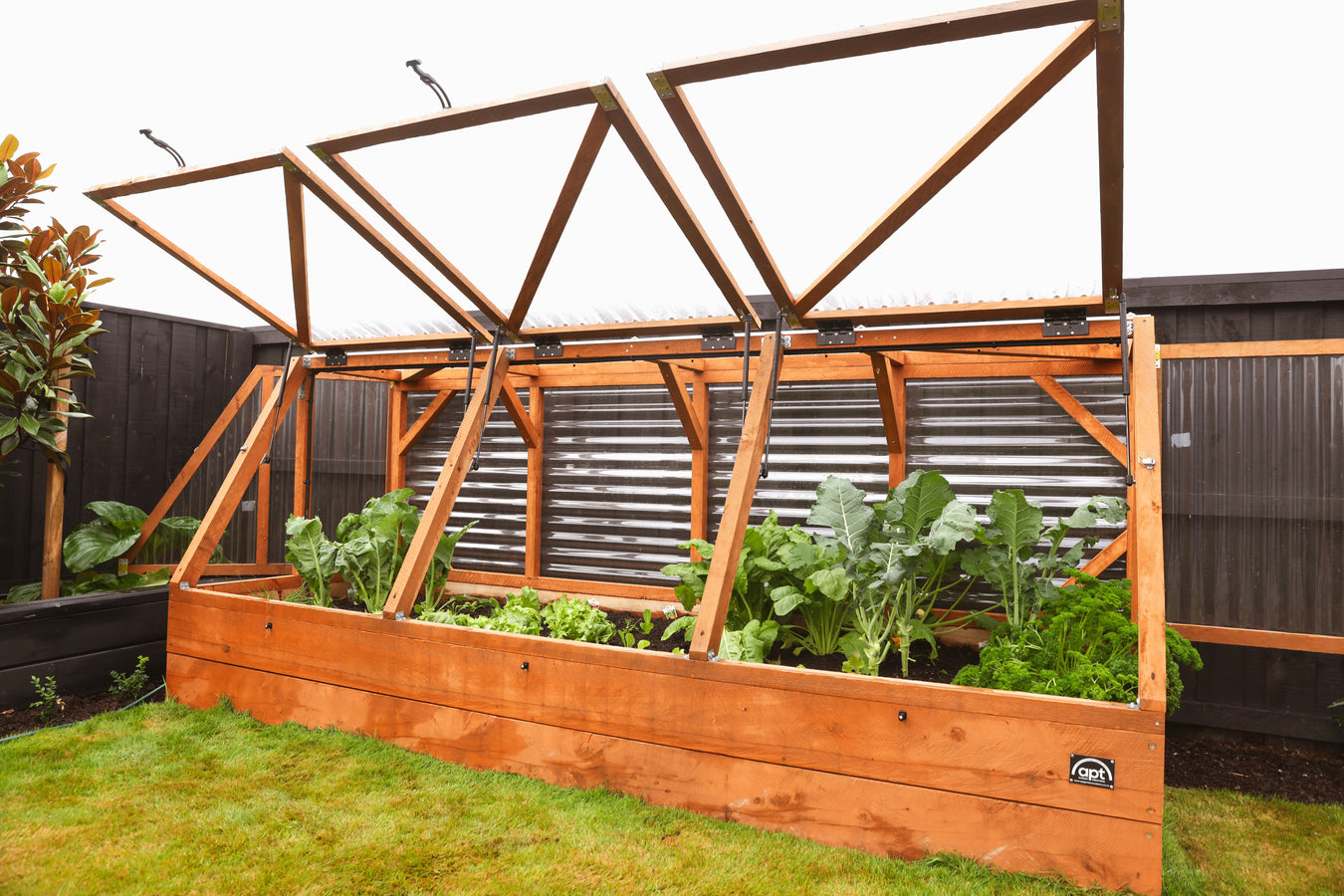 Wooden Raised Garden with Canopy