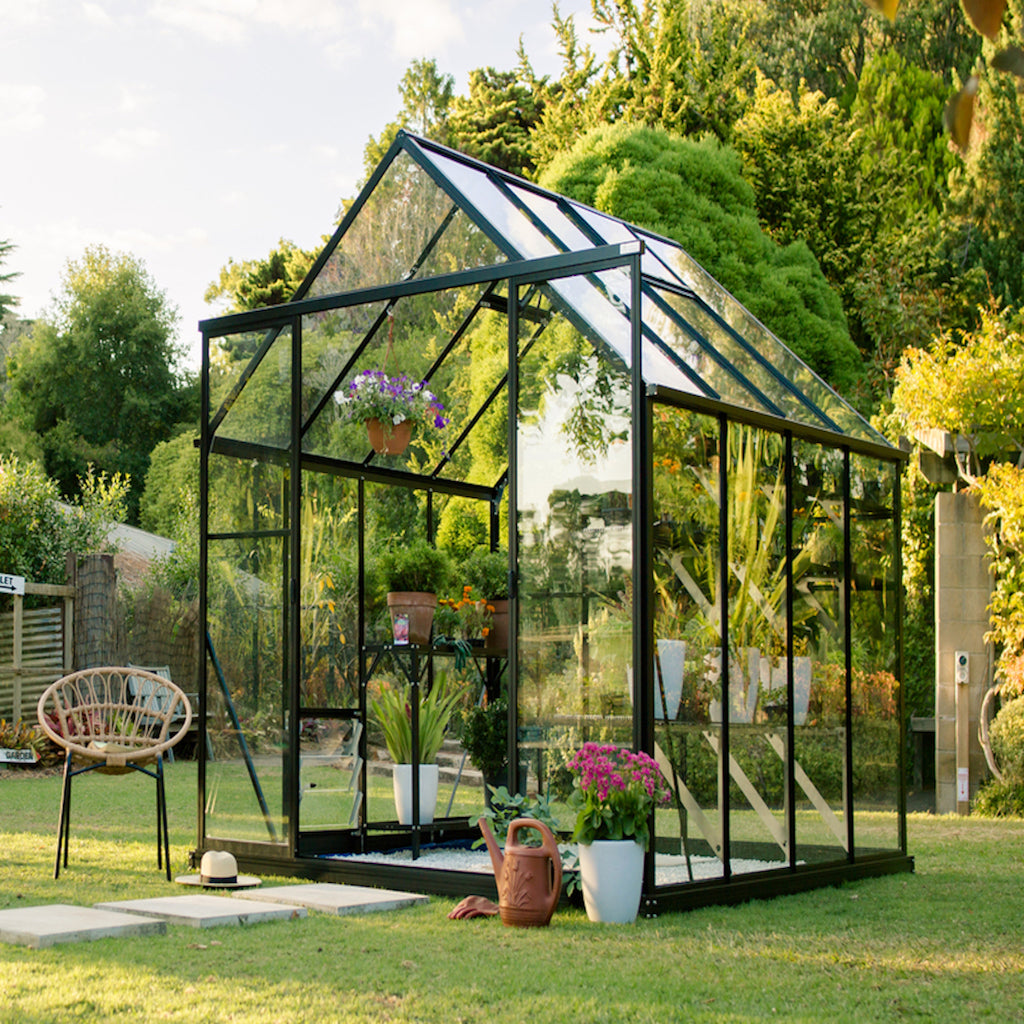 Black framed glasshouse with double door open, sitting on a white pebble base with shelving and pot plants surrounded by lawn and lush green gardens. 