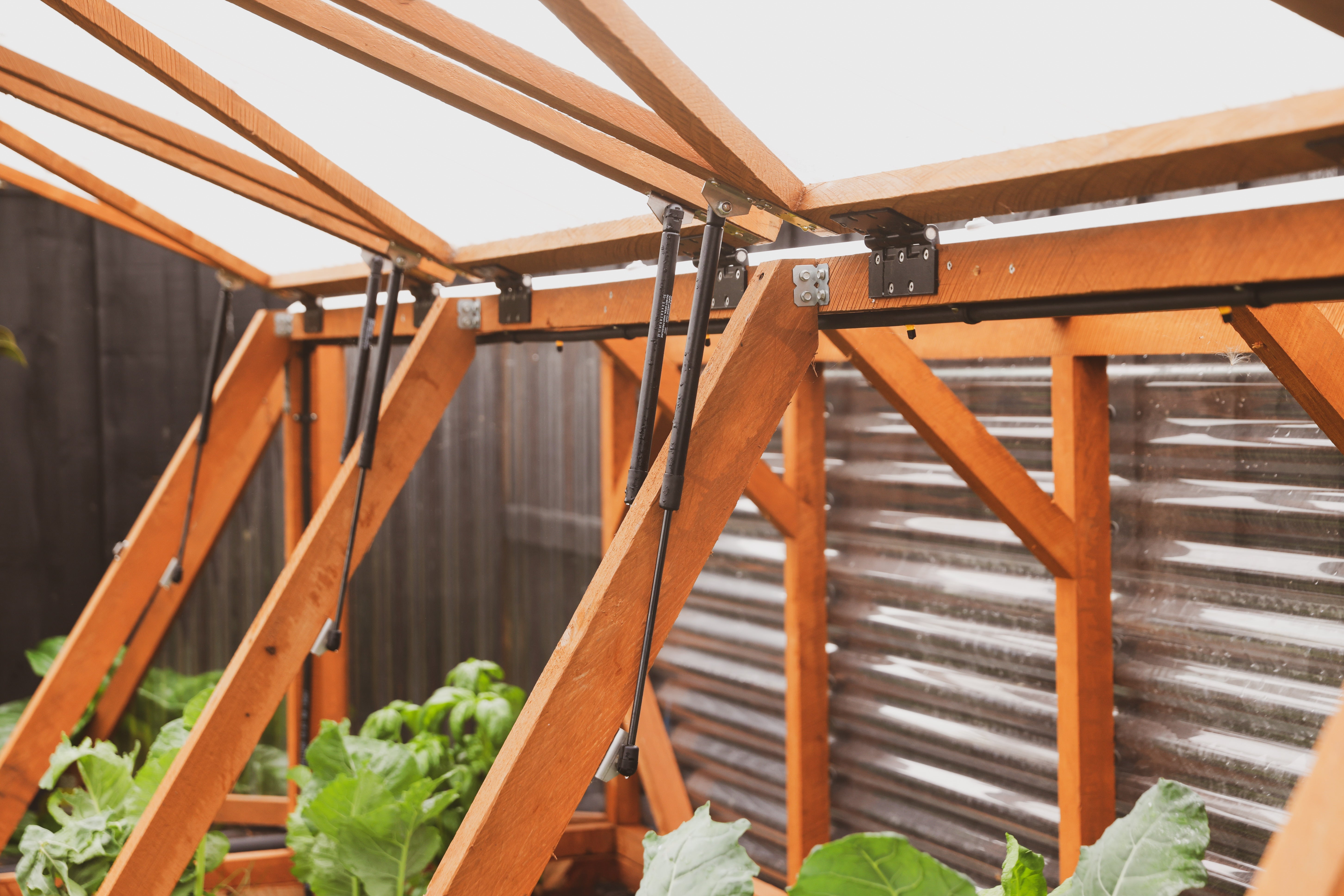 Wooden Raised Garden with Canopy - Large