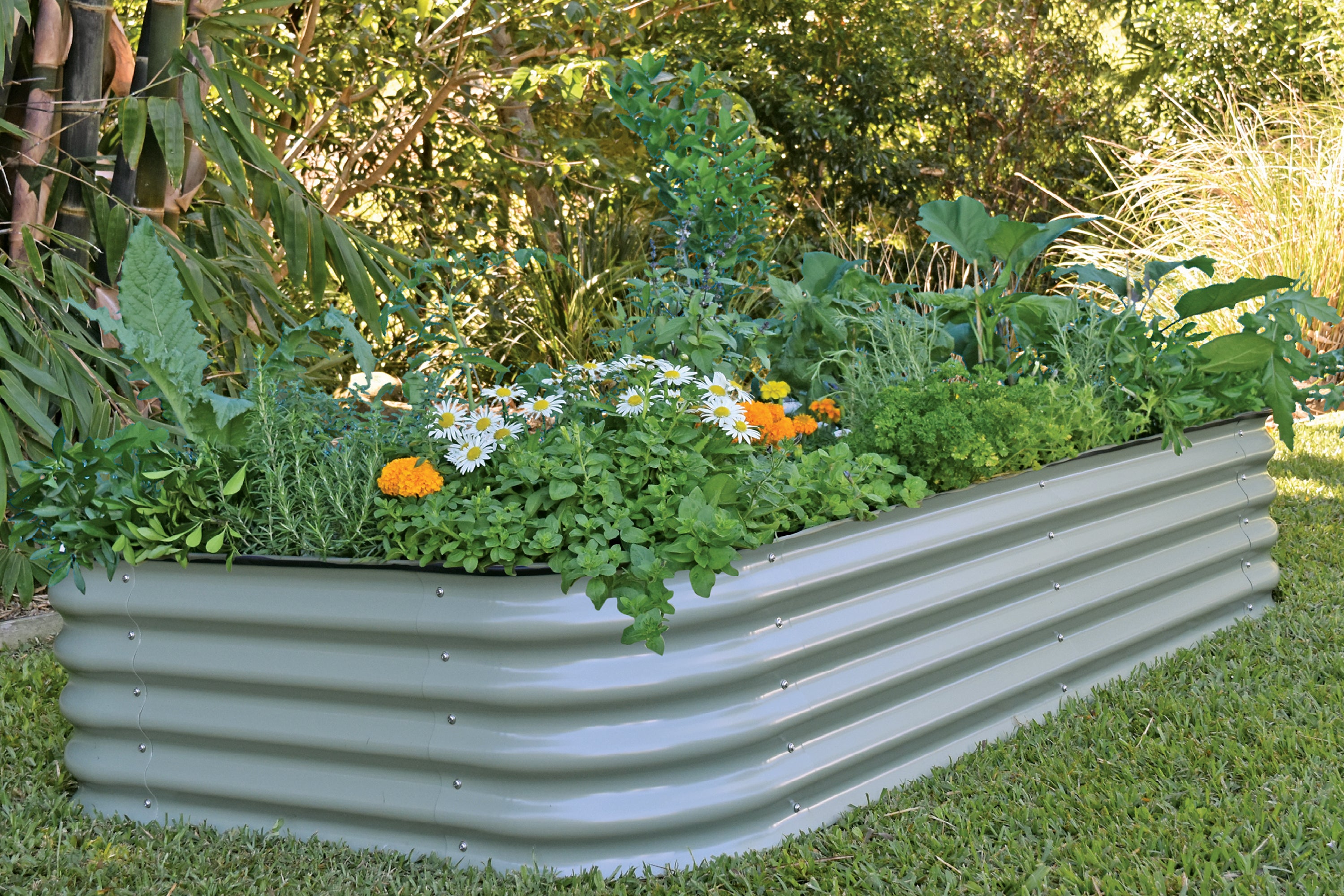 Large Short Metal Raised Garden Bed