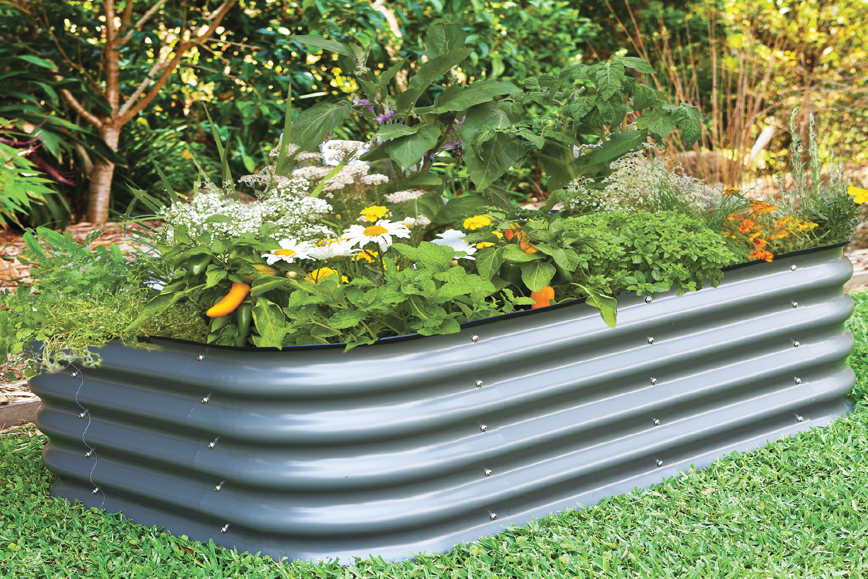 Large Short Metal Raised Garden Bed