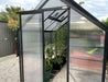 2m x 2.6m polycarbonate greenhouse with door open showing pots of tomatoes growing inside. 