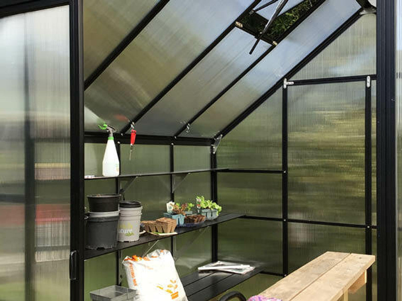 2.6m x 2.6m black framed polycarbonate greenhouse with staging shelving inside showing seedlings and pot storage 
