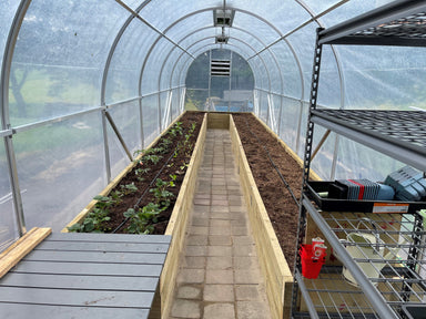 Duratough Tunnel House interior showing capacity of growing, with large garden beds running down each side freshly planted with strawberries and shelving in foreground. 