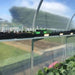 300mm Sidewall Shelf inside Tunnel House with seedlings growing and plants in garden below.